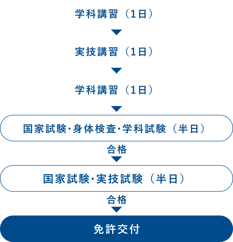 免許交付まで